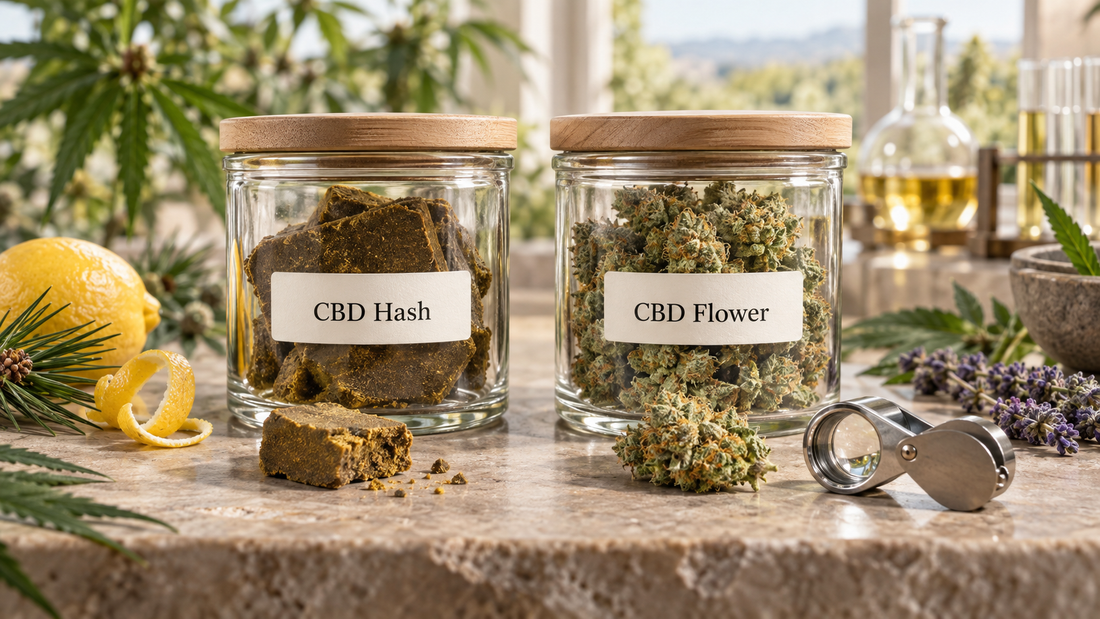 CBD hash and CBD flower displayed in clearly labelled glass jars with terpene-rich botanicals and a magnifying loupe for quality inspection.