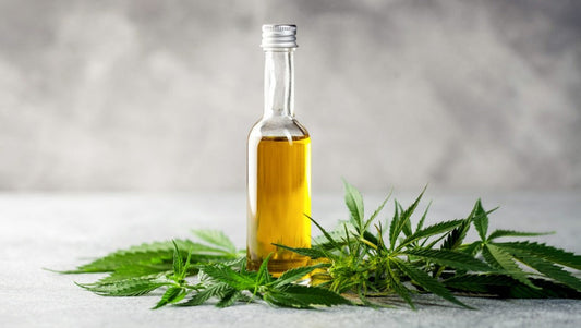 CBD OIL - A POWERFUL SUPPLEMENT FOR HEALTH AND WELL-BEING