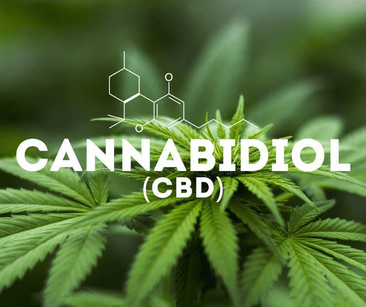 Surprising Benefits of Using Cannabinoids for Medical Purposes