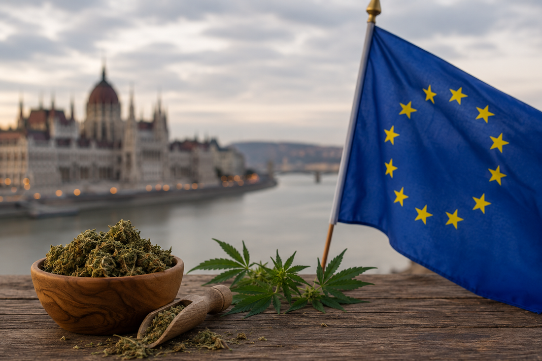 EU flag and dried cannabis trim in a wooden bowl on a rustic table, with hemp leaves and a European city waterfront in the background.