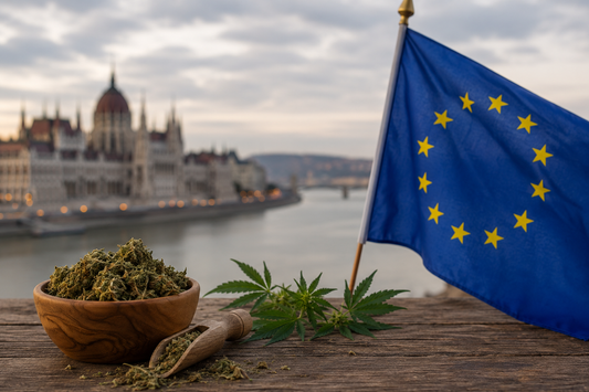 EU flag and dried cannabis trim in a wooden bowl on a rustic table, with hemp leaves and a European city waterfront in the background.