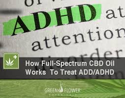 ADHD (Attention Deficit Hyperactivity Disorder)