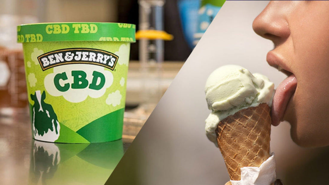 CBD FLOWERS and CBD PRODUCTS are getting so popular in EUROPE. New CBD ice-cream released and it is delicious!