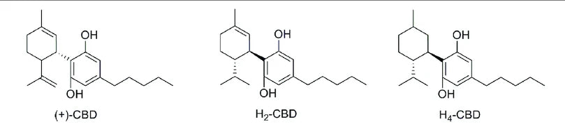 Why H4CBD Vapes are the Future of CBD Consumption