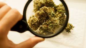 Delta 8 THC (tetrahydrocannabinol) - a mildly psychoactive compound derived from CBD (cannabidiol)