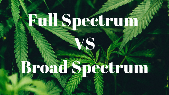 CBD - What's The Difference Between Full and Broad Spectrum