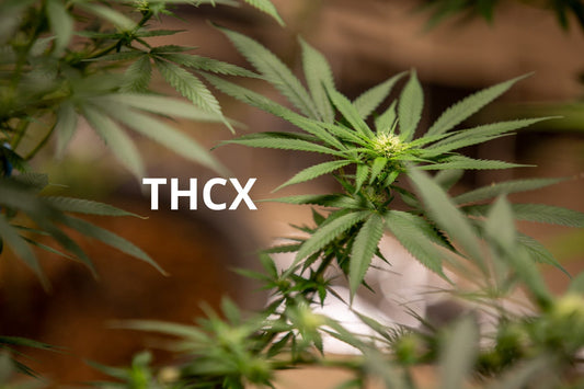THCX cannabinoid in the image. 