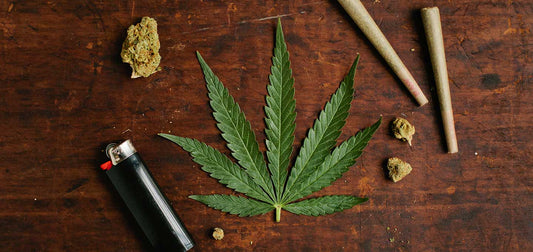 CBD hemp Pre-rolled Joints