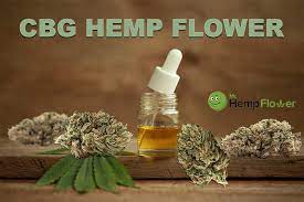 CBG (cannabigerol) - Buy CBG (cannabigerol) Flower in Italy