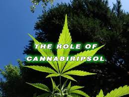 Cannabiripsol (CBR) - Cannabiripsol (CBR) - another cannabinoid derived from the cannabis plant