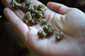 CBG (cannabigerol) - Buy CBG (cannabigerol) Small Buds in Ireland