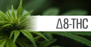 DELTA 8 - BUY DELTA 8 IN SPAIN