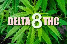 Delta 8 - Buy Delta 8 Edibles in Greece online