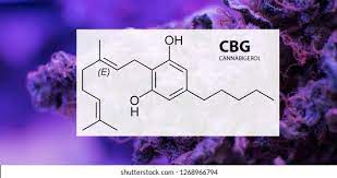 CBG (CANNABIDIOL) - CBG is NON-PSYCHOACTIVE and used to address numerous health and wellbeing conditions