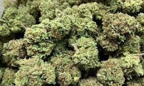 DELTA 8 MILDY PSYCHOACTIVE AND LEGAL