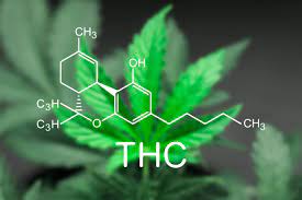 DELTA 8, EUROPE, UK, DELTA 8 VAPES IN EUROPE, DELTA 8 FLOWER IN UK, VIBRANT GREEN, 100% ORGANIC