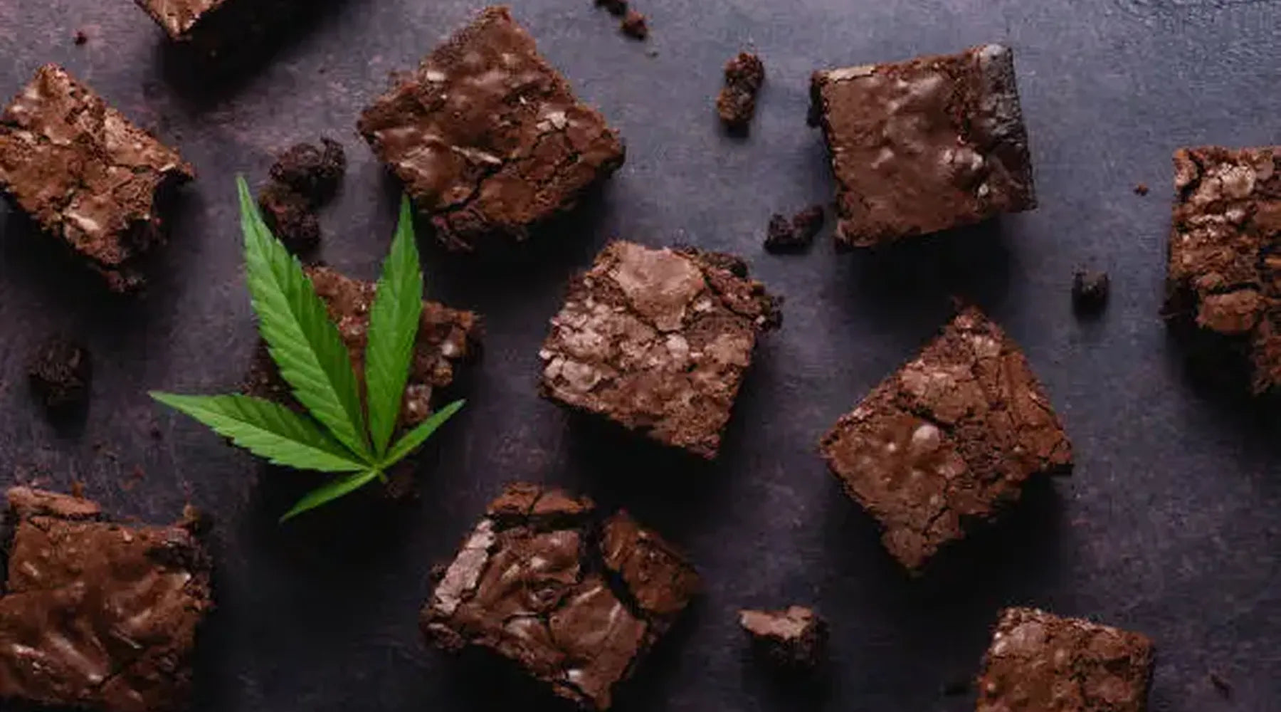 Exploring the Delights of HHC Chocolate Infused with CBD