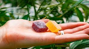 CBG (cannabigerol) - Buy CBG (cannabigerol) Edibles in Italy