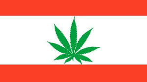 Legalization of CBD in Lebanon