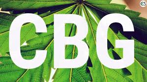 CBG (Cannabigerol) - Buy CBG (Cannabigerol) Oil in Germany