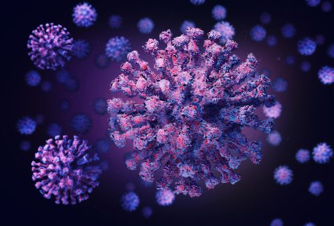 CBD AIDS RECOVERY FROM CORONAVIRUS