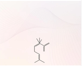 Isolate Collection - 100% Pure Terpenes