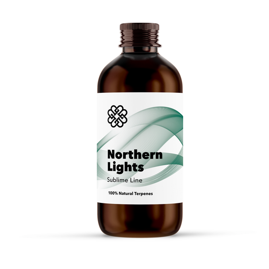Northern Lights